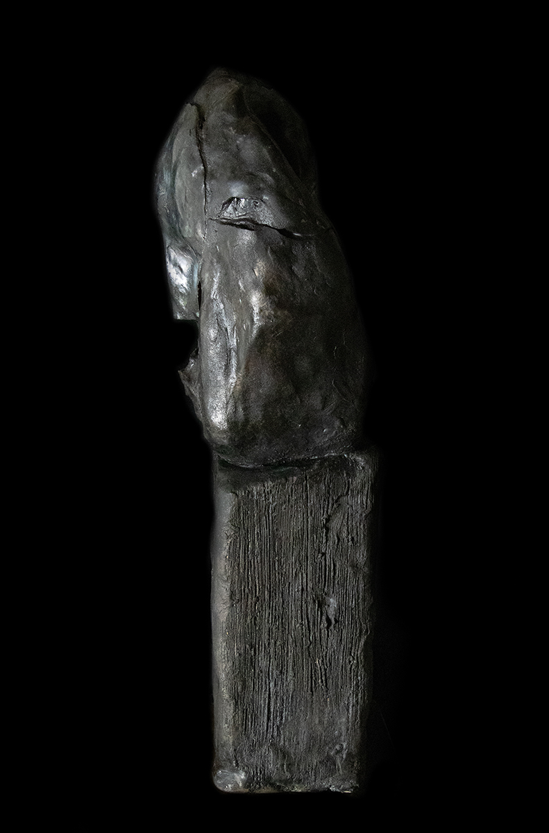 Nicolas-Pierre Réveillard, sculpture « Tête privée de liberté » ∼ « Head deprived of liberty » (3)