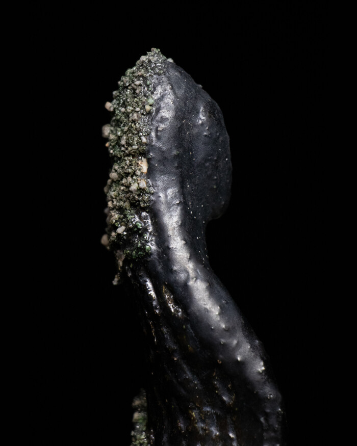 FLOWER - Image 8
