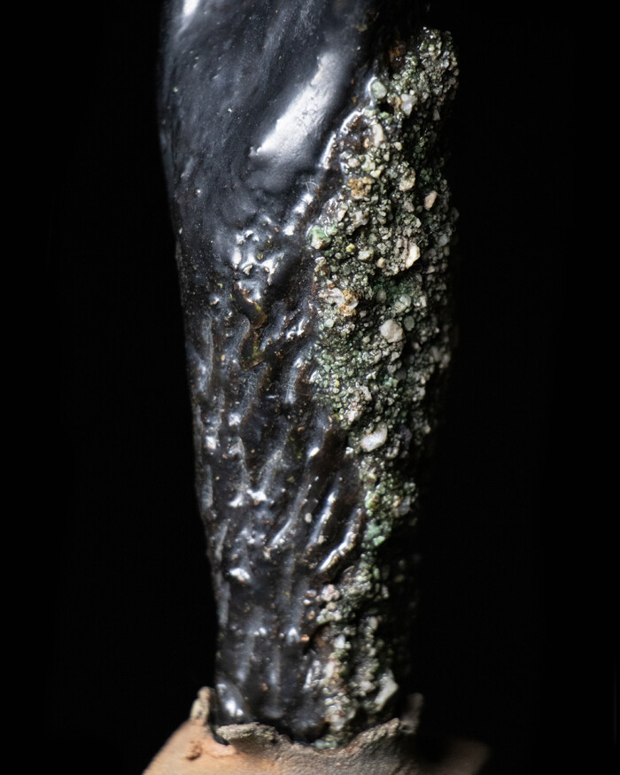 FLOWER - Image 5
