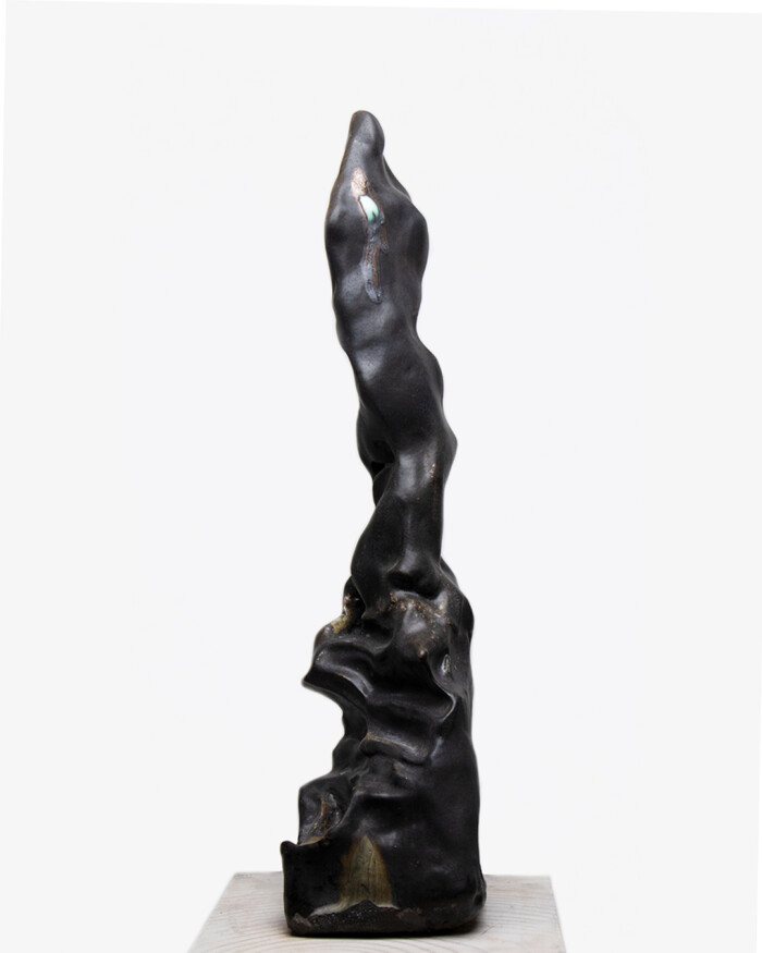 ASCENSION - Image 6
