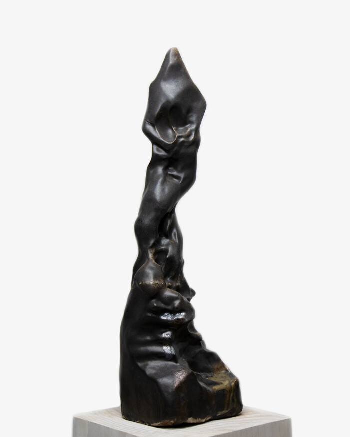 ASCENSION - Image 4