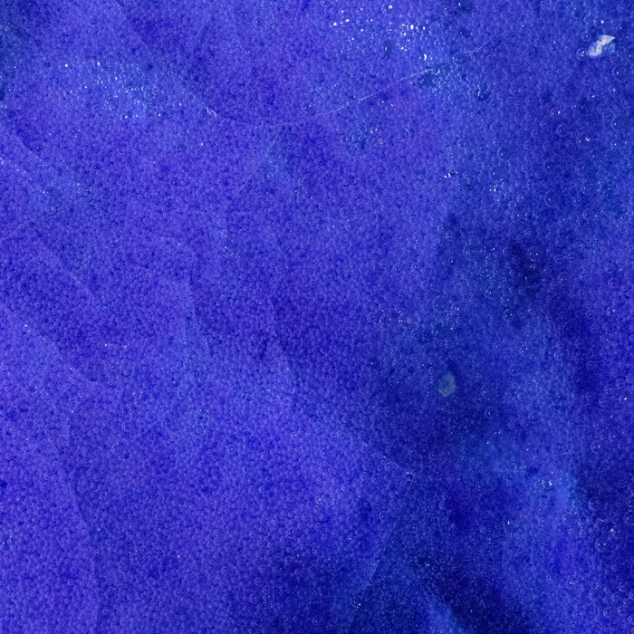 THE BLUE PRAYER - Image 3