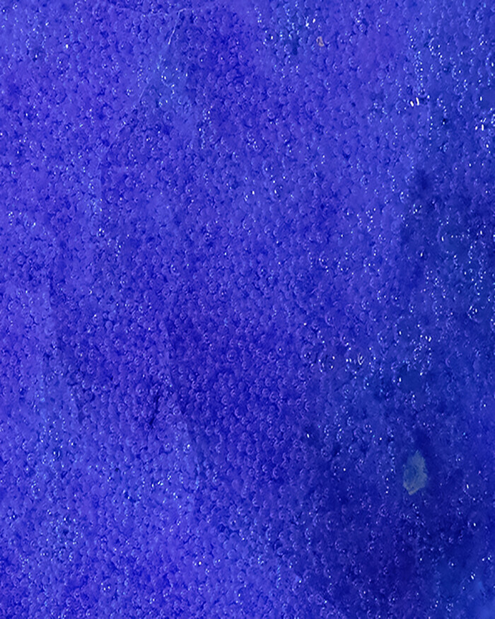 THE BLUE PRAYER - Image 2