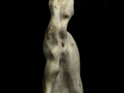 BAIGNEUSE