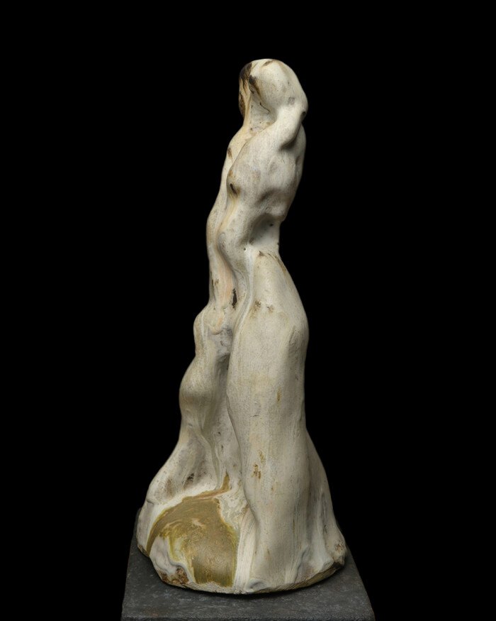 BAIGNEUSE - Image 3