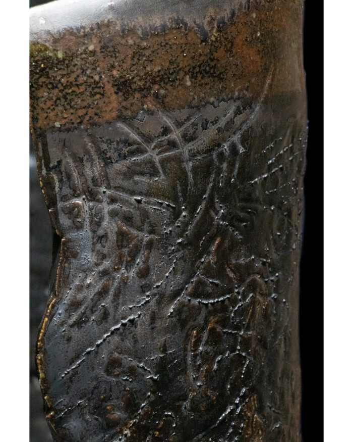 CONSCIOUSNESS - Image 4