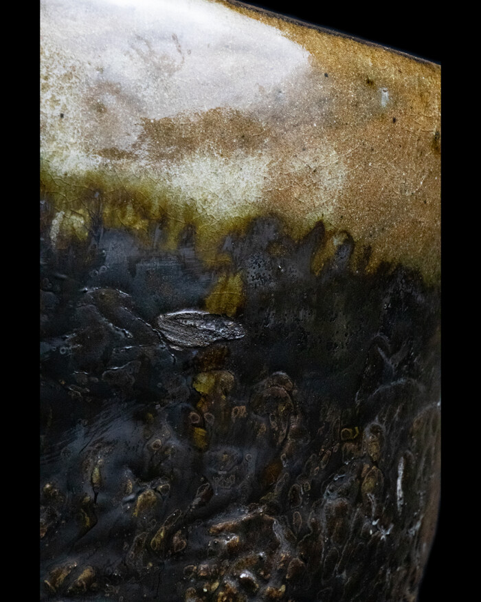 CONSCIOUSNESS - Image 7